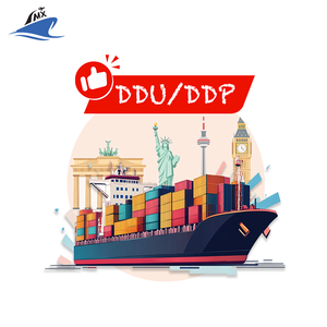 Servicio Logístico Económico de China, Agente de Carga DDP, Transporte Aéreo de China a EE. UU./India/Malasia, Carga Exprés con Impuestos Aduaneros Incluidos - Product Image 6