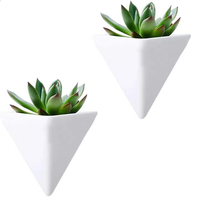 Air aero décor nordique naturel succulent pépinière triangulaire mural suspendu fleur plante panier pots et jardinières