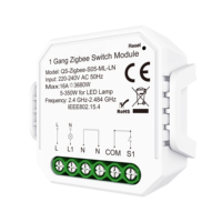 Harga Pabrik MQTT Tidak Memerlukan Kabel Netral Smart Life Smart Switch Alexa Google Home WiFi Zigbee 1 Saluran 16A 2 Saluran PC