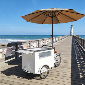 รถบรรทุกขายอาหารแบบลากจูง รถเข็นขายไอศกรีม รถพ่วงขายเครื่องดื่มเย็น จักรยานบรรทุกสินค้าไฟฟ้า พร้อมร่ม - Product Image 2