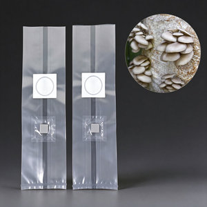 Bolsas de Cultivo de Hongos Comerciales con Puertos de Inyección para Producción en Granjas de Hongos - Product Image 1