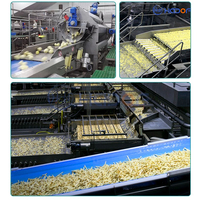 Industriële lijn voor het verwerken van aardappelreepjes voor grote bedrijven die diepvriesfrieten produceren