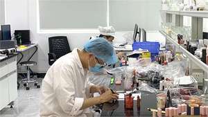 プライベートレーベル 5ml PLLA ポリ乳酸 <span class=keywords><strong>HA</strong></span> スキンケアソリューション ボディ フェイスリフティング ボリューム回復 コラーゲンセラム 毛穴引き締め - Product Image 4