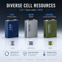 Vente chaude 3.2V 100Ah LFP Cellule de batterie au lithium prismatique Lifepo4 pour la centrale électrique portable de stockage d'énergie à usage domestique