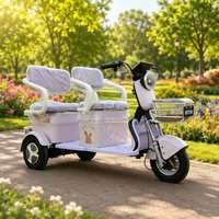 Tricycle électrique à 3 roues pour adultes, E-Trike 2 places avec panier avant et rangement pour les trajets familiaux