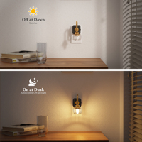 Veilleuse LED en verre LOHAS avec capteur crépusculaire, forme florale, intensité variable 1W, style vintage citrouille pour chambre et couloir