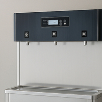 Dispensador de Agua Eléctrico de Acero Inoxidable con Compresor, Sistema de Filtrado de Agua de 5 Etapas, Agua Fría y Caliente