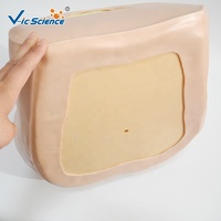 Modèle d'examen gynécologique avancé / pour la formation aux examens bimanuels et rectovaginale, avec col de utérus interchangeable et placement d'DIU