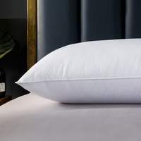 Vente chaude, assurance qualité, CHENHONG, personnalisation, moderne, léger, respirant, matelassé, broderie, garnissage en soie de plumes, couvre-cou