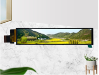 6,1 Zoll Bar TFT LCD Modul mit 280RGBx1424 Auflösung und MIPI-Schnittstelle, Treiber-IC ST7703I, 12 LEDs