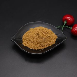 بيع مباشر من المصنع لمستخلص أوراق الجنكة بيلوبا عالي الجودة بنسبة 24% من الفلافونويدات - Product Image 3