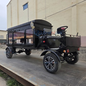 Chariot funéraire électrique noir antique au design moderne, couleurs personnalisables, à prix réduit, en vente - Product Image 1