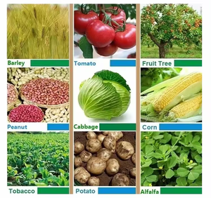 7783-28-0 Phân bón hòa tan trong nước làm tăng độ phì nhiêu của đất và cung cấp chất dinh dưỡng đáng tin cậy diammonium <span class=keywords><strong>Phosphate</strong></span> - Product Image 6