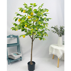 Árbol en Maceta Pequeño de Alta Calidad, Simulación de Bonsái, Árbol Frutal, Árbol de Limón Fax - Product Image 4