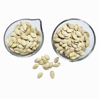 Graines de citrouille blanche, vente en gros, pièces, graines de citrouille, nouvelle collection, meilleure qualité