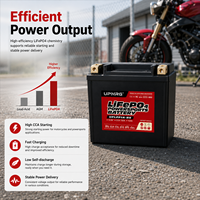 Baterai Starter Motor Yauneidak 12.8V LiFePO4 3Ah-30Ah Proteksi IP67 2000 Siklus untuk Black Wasp Furia 250cc CCA Tinggi