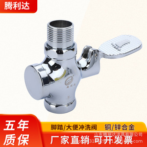 Vanne de chasse à pédale Tenglida en alliage cuivre-zinc, murale, pour toilettes à la turque, économie d'eau - Product Image 1