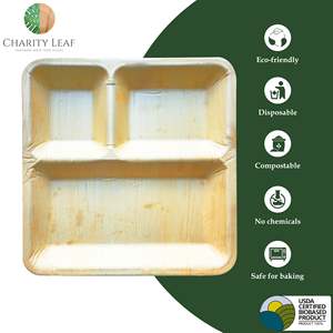 Piatto Quadrato da 10 Pollici - 3 Scomparti in Foglia di Palma Naturale - Product Image 3