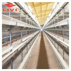 Hot sale chicken Broiler Cage System for Meat Chicken cage for broiler chicken