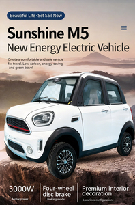 Miglior Venditore di Veicoli Elettrici Avanzati MPV Wagon a 4 Posti con Autonomia <100km, Batteria al Litio da 30kWh, Alta Velocità, Prodotto in Shandong - Product Image 4