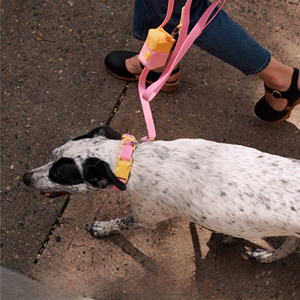 Collar y Correa Personalizados para Mascotas, Ajustables, con Hebilla Metálica, Silicona Impermeable, PVC, para Perros y Gatos, con Dijes de Diferentes Estilos - Product Image 6