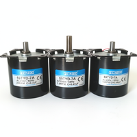 Moteur synchrone à aimant permanent personnalisé AC230V 60Hz 25RPM avec arbre de sortie