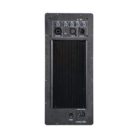 Module d'amplificateur de puissance actif professionnel Accuracy Pro Audio 15APN 350W
