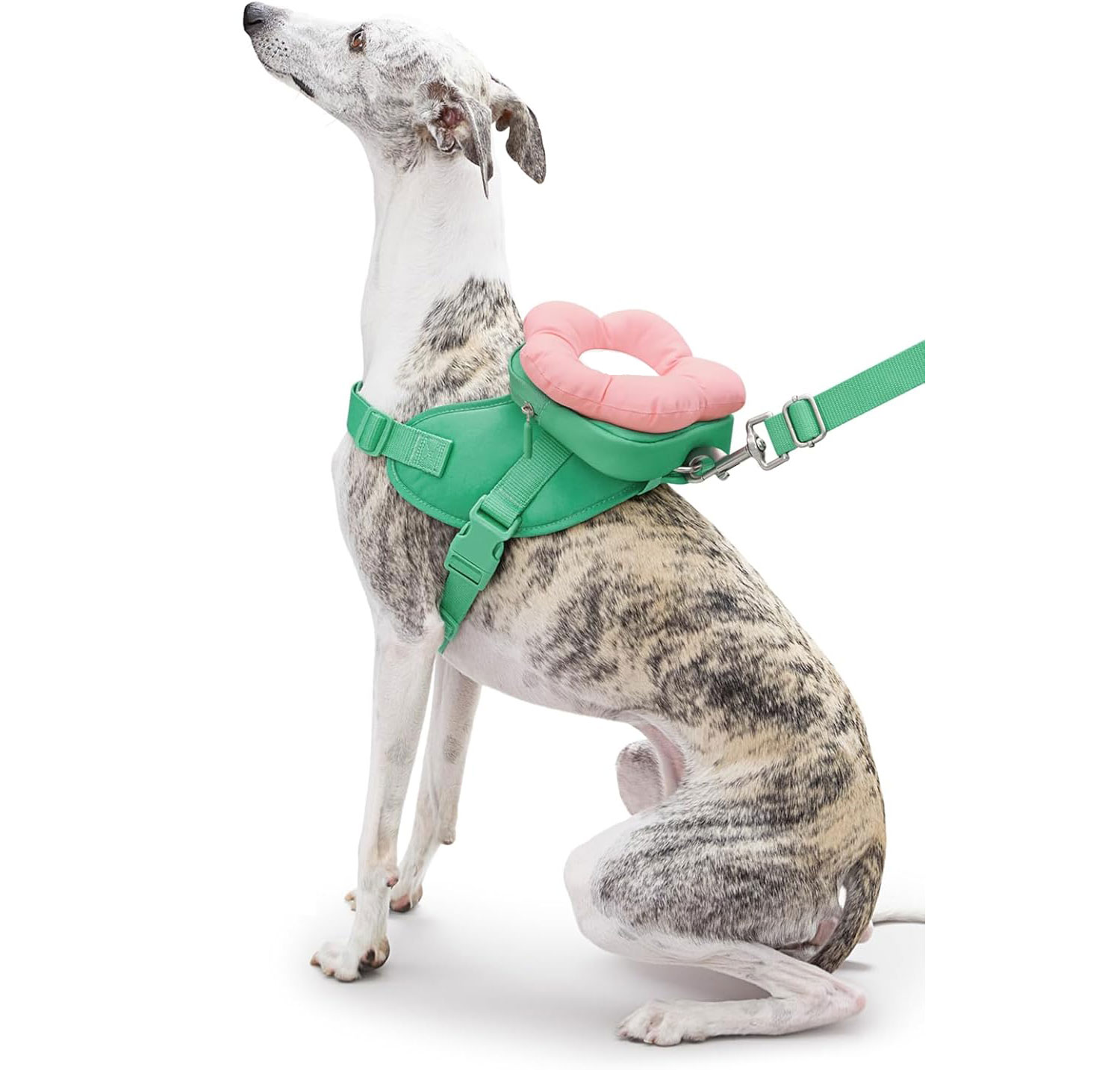 สีเขียว