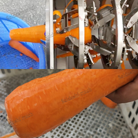 Machine à éplucher les carottes, les radis et les endives automatique en acier inoxydable SAIDASHI - Processeur de légumes commercial