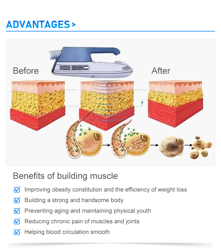 Abs Ems Slimming Machine / Ems Weight Loss Machine 0-7 Tesla