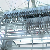 Projet clé en main de Maisheng Équipement d'abattoir de vaches Machines d'abattoir Abattoir de bétail