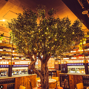 <span class=keywords><strong>Grand</strong></span> <span class=keywords><strong>olivier</strong></span> artificiel à <span class=keywords><strong>prix</strong></span> d'usine, énorme arbre ornemental en fibre de verre pour les restaurants d'intérieur et les centres commerciaux. - Product Image 2