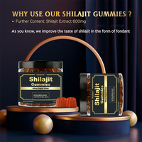 Complément alimentaire en gommes de Shilajit de l'Himalaya certifié GMP, marque privée OEM, avec 600 mg d'acide fulvique et de minéraux traces