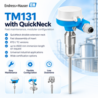 Sensor Suhu Tinggi Endress Hauser TM131 Pt100 RTD Thermocouple dengan Tabung Pelindung