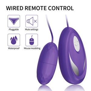 Tím tâm trạng Mini nhảy Trứng rung thanh có thể giặt và một cú nhấp chuột kiểm soát Mười Tần số rung massage âm đạo rung - Product Image 4