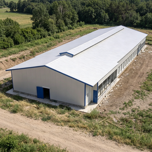 Modern Wind/Snow Resistant Economical Steel Structure Prefabricated <strong>Chicken</strong> <strong>House</strong> with Customization - Product Image 6