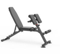 Banc de musculation Preacher Curl pliable en métal, dossier à 5 positions, double repose-bras, capacité de 300 kg, banc de musculation pour entraînement avec haltères