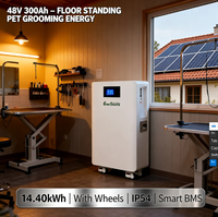 Baterai LiFePO4 48V 14kWh 300Ah untuk Sistem Surya All in One yang Dipasang di Dinding dengan Roda