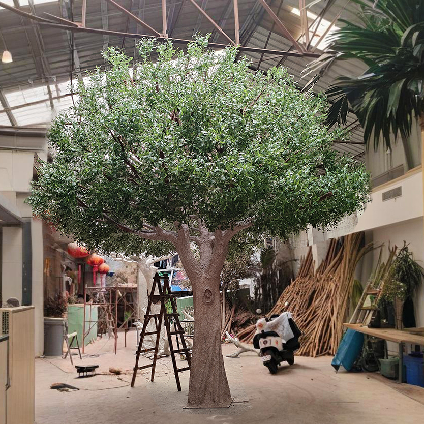 albero di ulivo