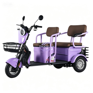 High Load Multi-rider Three Wheeler Solid Safe Body Excellent Climbing And Battery Quality - Product Image 6