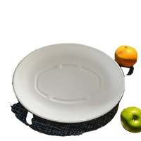 Vaisselle jetable biodégradable écologique en bagasse de canne à sucre, assiette à motif végétal, boîte à lunch jetable pour usage domestique