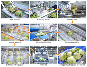 Lavadora de repollo bulboso y lechuga, equipo de lavado de <span class=keywords><strong>tomate</strong></span> a gran escala, línea de producción de lavado y secado de vegetales - Product Image 4