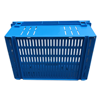 Caisse en plastique perforée, recyclable, ventilée, pour légumes et fruits, empilable, pour déménagement, avec poignée