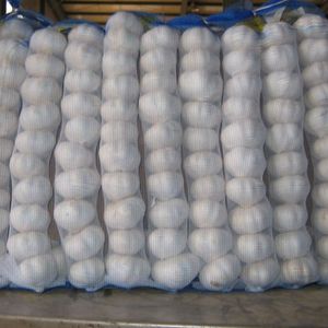 Verdure tipo di prodotto cina aglio fresco con grande qualità di imballaggio in borsa a rete o cartone - Product Image 6