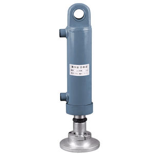 Cilindros Hidráulicos HSG Lug de 5 y 12 Toneladas, Soportes para Rótula Universal, Cilindros de Estabilizador - Equipo Hidráulico Versátil - Product Image 1