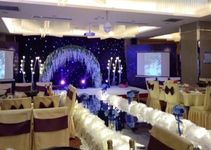 Tuyết trắng vải đám cưới sợi gạc cho đường băng đảng t nền tảng trang trí không có đèn - Product Image 3