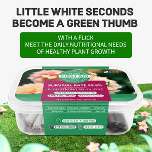Compost vert Daojimei personnalisé pour plantes, trois couleurs, à libération lente, pour barres nutritives de premiers secours, fleurs en pot d'<span class=keywords><strong>intérieur</strong></span> et bonsaïs - Product Image 4