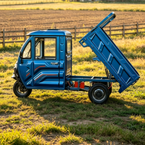 Triciclo EEC COC L2e per Trasporto Merci con Batteria al Piombo-Acido 72V 58AH a Lunga Durata, Sterzo Agile, Spazio Minimo di Parcheggio - Product Image 1