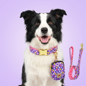 Collier pour chien de luxe personnalisé MIDEPET, en polyester/nylon, avec rubans imprimés en alliage, à libération rapide, excellent cadeau pour le Nouvel An et la Saint-Valentin - Product Image 1