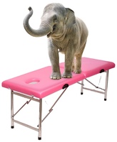 Table de Massage Portable professionnel pliant esthétique civières canapé pliable Table de Massage Esthétique